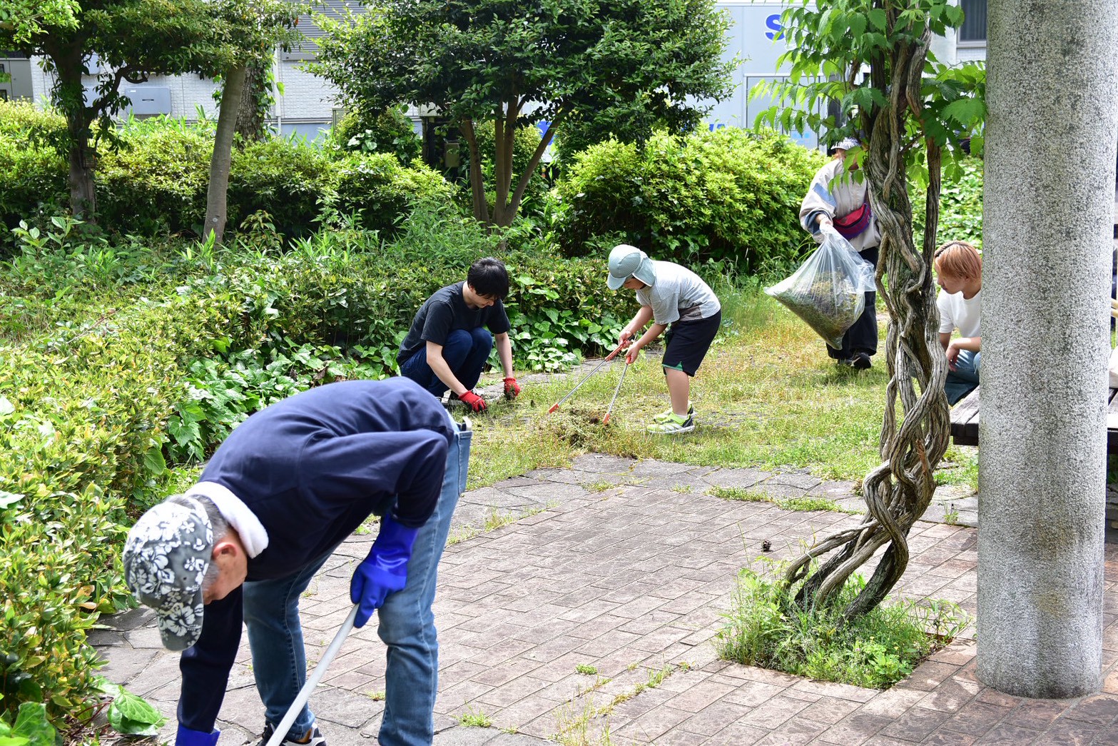 みどりでまちラボ活動の様子
